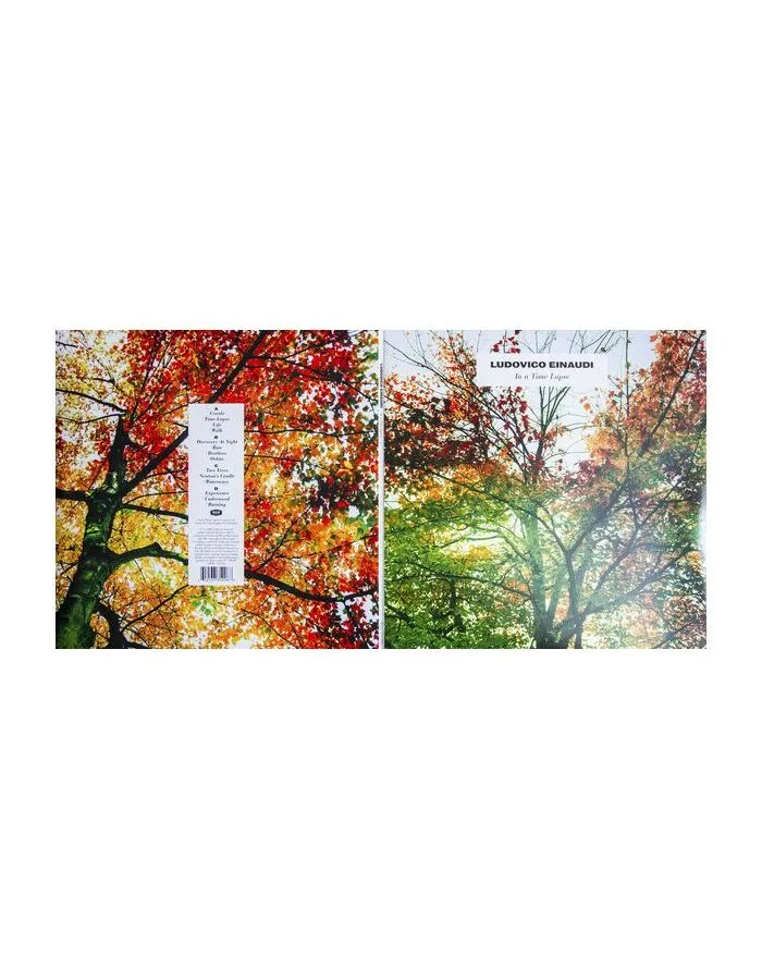 Виниловая пластинка Einaudi, Ludovico, In A Time Lapse (0602537352968) - фото 8