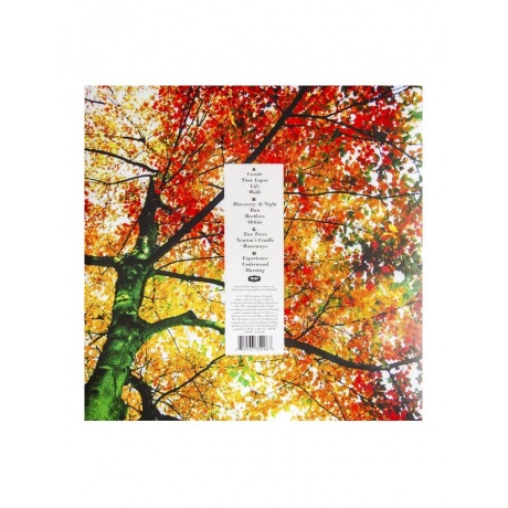 Виниловая пластинка Einaudi, Ludovico, In A Time Lapse (0602537352968) - фото 9