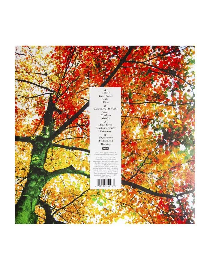 Виниловая пластинка Einaudi, Ludovico, In A Time Lapse (0602537352968) - фото 9