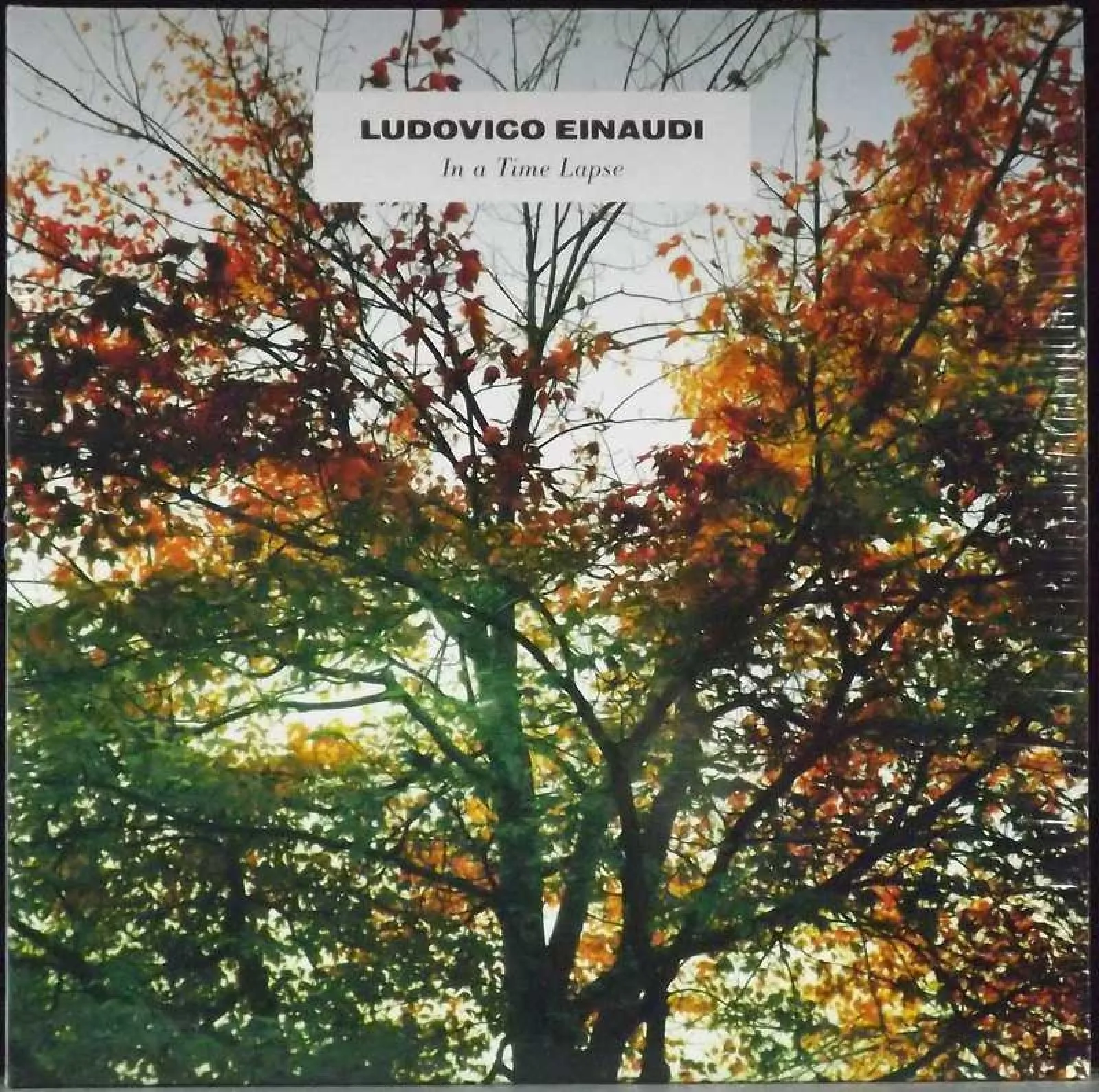Виниловая пластинка Einaudi, Ludovico, In A Time Lapse (0602537352968) - фото 1