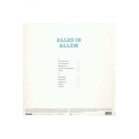 Einsturzende Neubauten - Alles In Allem (4015698564174) виниловая пластинка - фото 2
