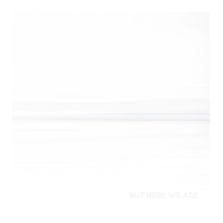 Foo Fighters - But Here We Are (0196588178412) виниловая пластин...