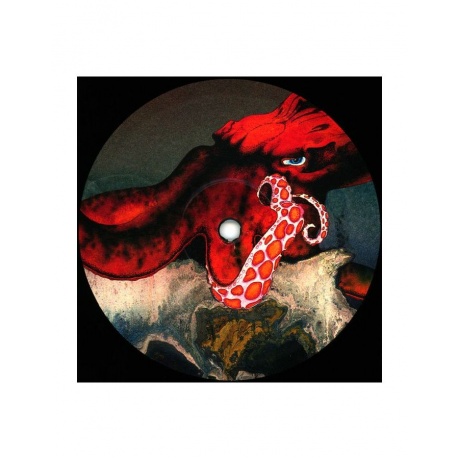Виниловая пластинка Gentle Giant, Octopus (0804471000688) - фото 5