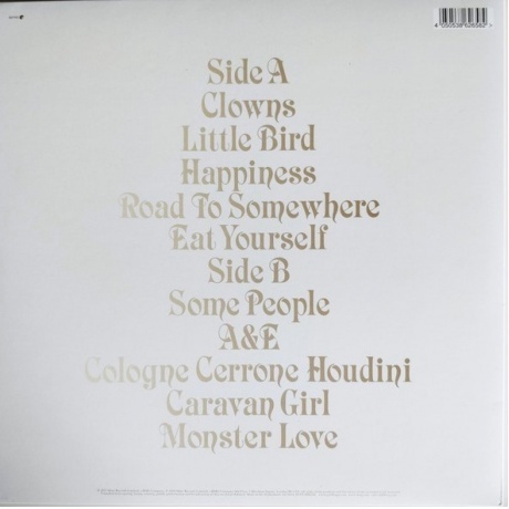 Goldfrapp - Seventh Tree (coloured) (4050538626582) виниловая пластинка - фото 2