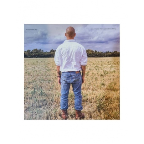 

Binker Golding - Dream Like A Dogwood Wild Boy (5060708610906) виниловая пластинка