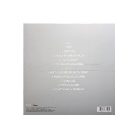 Amy Macdonald - The Human Demands (4050538641011) виниловая пластинка - фото 2