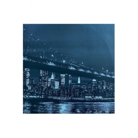 Виниловая пластинка Moby, Resound NYC (0028948633371) - фото 2