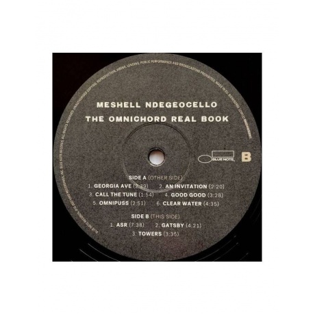 Виниловая пластинка Ndegeocello, Meshell, The Omnichord Real Book (0602448968951) - фото 7
