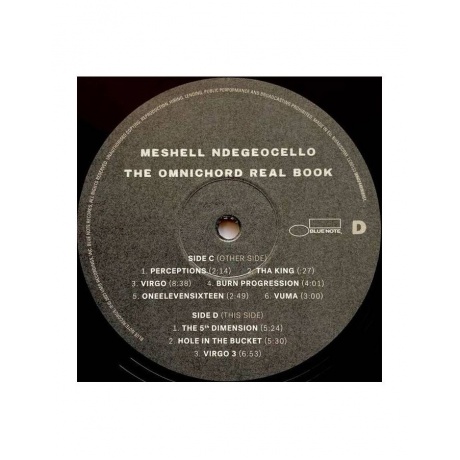 Виниловая пластинка Ndegeocello, Meshell, The Omnichord Real Book (0602448968951) - фото 8