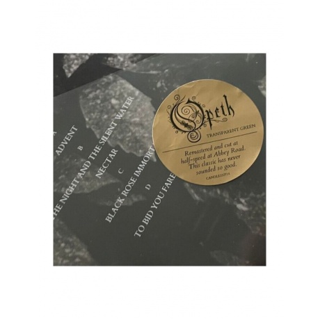 Виниловая пластинка Opeth, Morningrise (Half Speed) (coloured) (0602448332714) - фото 5
