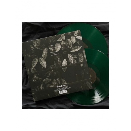 Виниловая пластинка Opeth, Morningrise (Half Speed) (coloured) (0602448332714) - фото 6