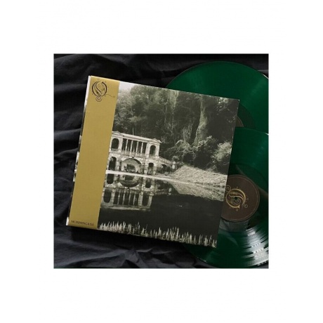 Виниловая пластинка Opeth, Morningrise (Half Speed) (coloured) (0602448332714) - фото 7