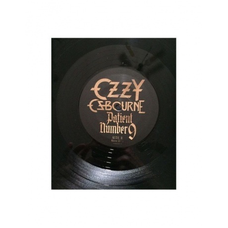 Ozzy Osbourne - Patient Number 9 (0194399328118) виниловая пластинка - фото 5