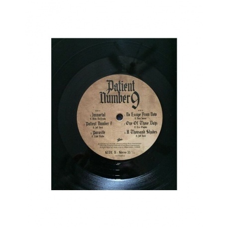 Ozzy Osbourne - Patient Number 9 (0194399328118) виниловая пластинка - фото 6