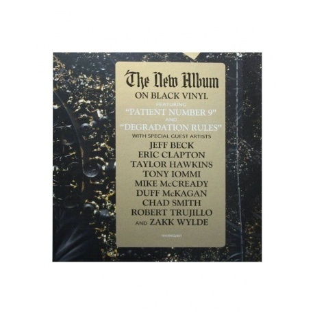 Ozzy Osbourne - Patient Number 9 (0194399328118) виниловая пластинка - фото 10