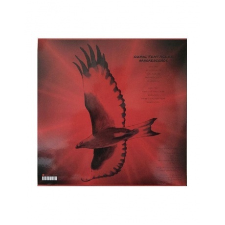 Ozric Tentacles - Arborescence (0802644817118) виниловая пластинка - фото 2
