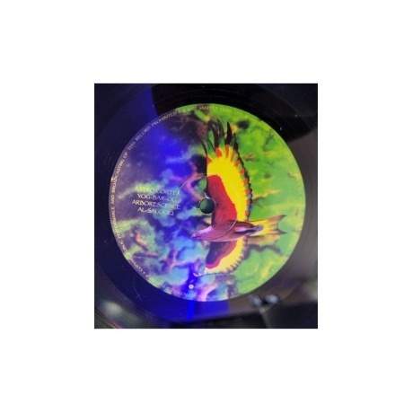 Ozric Tentacles - Arborescence (0802644817118) виниловая пластинка - фото 3