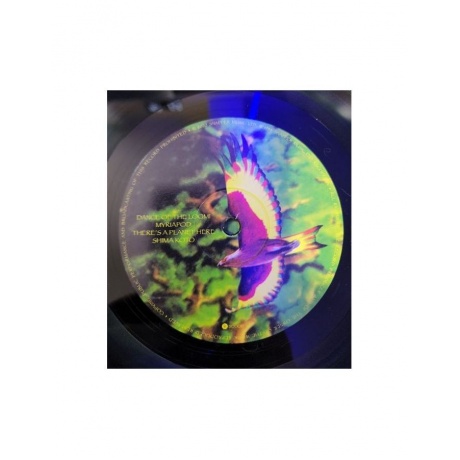 Виниловая пластинка Ozric Tentacles, Arborescence (0802644817118) - фото 4
