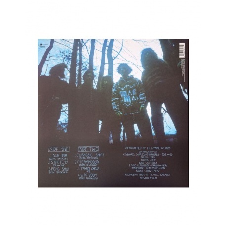 Ozric Tentacles - Jurassic Shift (0802644816814) виниловая пластинка - фото 2