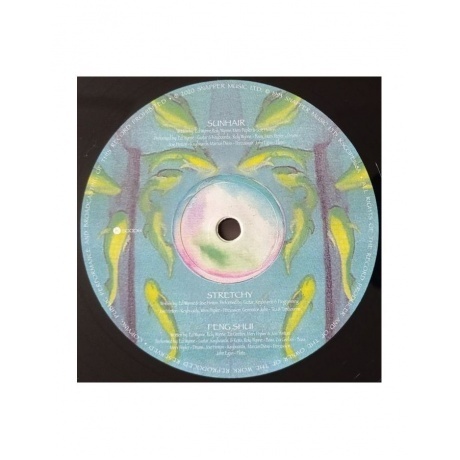 Ozric Tentacles - Jurassic Shift (0802644816814) виниловая пластинка - фото 3