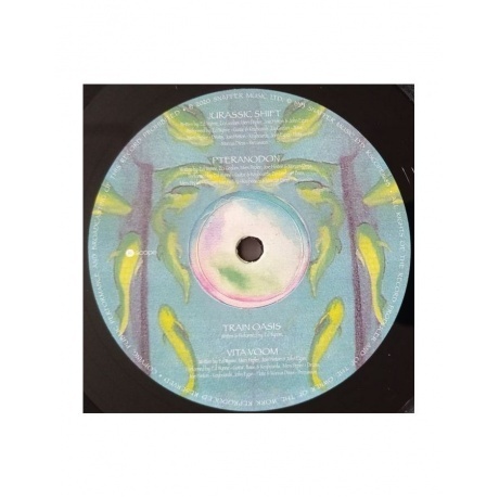 Ozric Tentacles - Jurassic Shift (0802644816814) виниловая пластинка - фото 4
