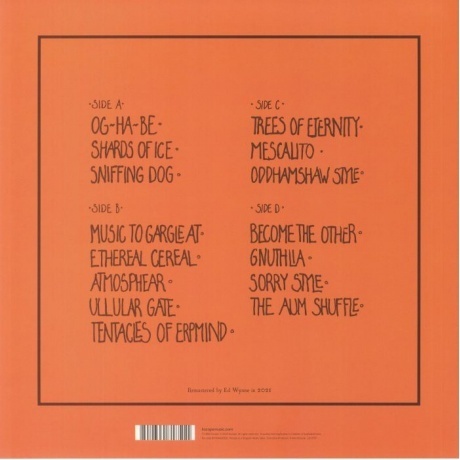 Ozric Tentacles - Tantric Obstacles (0802644818511) виниловая пластинка - фото 2