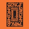 Виниловая пластинка Ozric Tentacles, Tantric Obstacles (08026448...