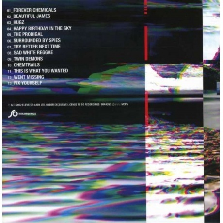 Placebo - Never Let Me Go (0738572300494) виниловая пластинка - фото 2