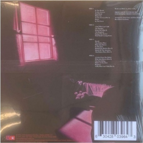 Planet P - Pink World (coloured) (0630428039643) виниловая пластинка - фото 3