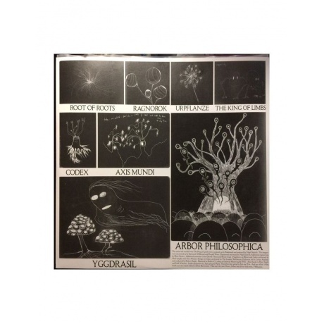 Radiohead - The King Of Limbs (0634904078713) виниловая пластинка - фото 3