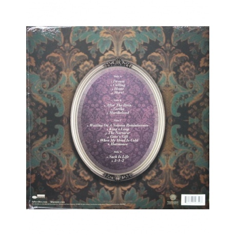 Joel Ross - Who Are You? (0602507127503) виниловая пластинка - фото 2