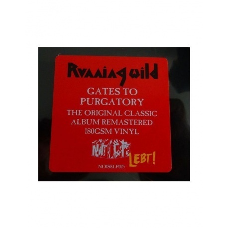 Running Wild - Gates To Purgatory (4050538274561) виниловая пластинка - фото 4