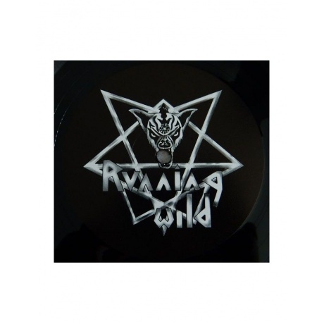 Running Wild - Gates To Purgatory (4050538274561) виниловая пластинка - фото 10