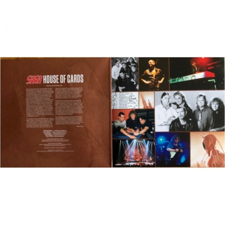 Saga - House Of Cards (4029759159643) виниловая пластинка - фото 3