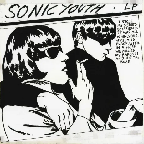 Sonic Youth - Goo (0602547349415) виниловая пластинка