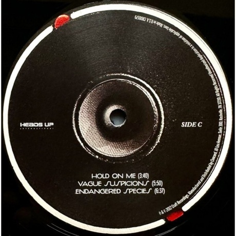 Esperanza Spalding - Radio Music Society (0888072452053) виниловая пластинка - фото 7