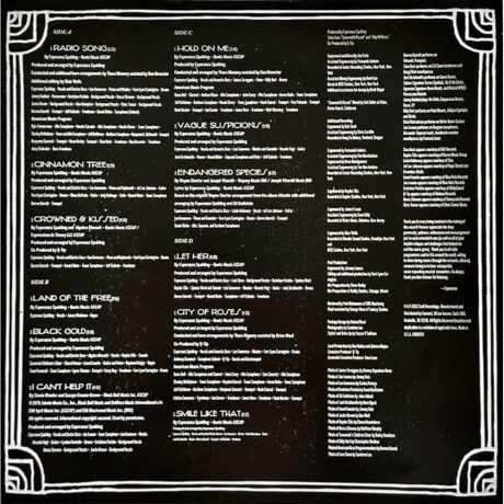 Esperanza Spalding - Radio Music Society (0888072452053) виниловая пластинка - фото 10