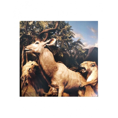 Виниловая пластинка Interpol, Our Love To Admire (0191401150415) - фото 1