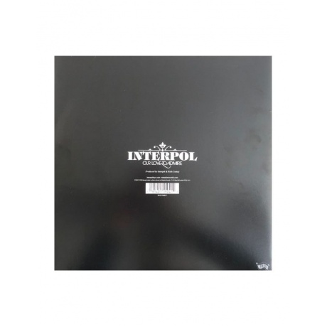 Виниловая пластинка Interpol, Our Love To Admire (0191401150415) - фото 2