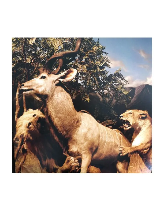 Виниловая пластинка Interpol, Our Love To Admire (0191401150415) - фото 1