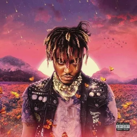 Juice WRLD - Legends Never Die (0602507496074) виниловая пластин...