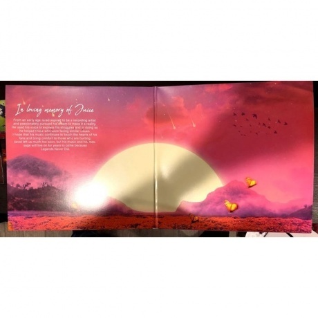 Juice WRLD - Legends Never Die (0602507496074) виниловая пластинка - фото 3