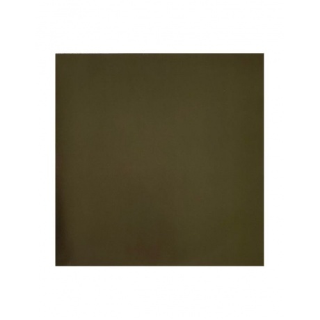 Leftfield - Rhythm &amp; Stealth (0196587083717) виниловая пластинка - фото 9