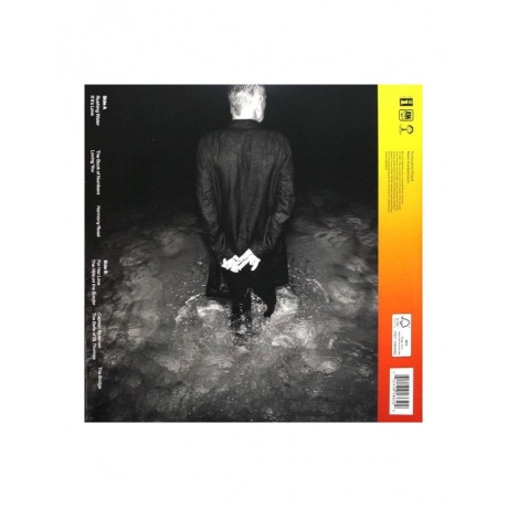 Виниловая пластинка Sting, The Bridge (0602438586509) - фото 2