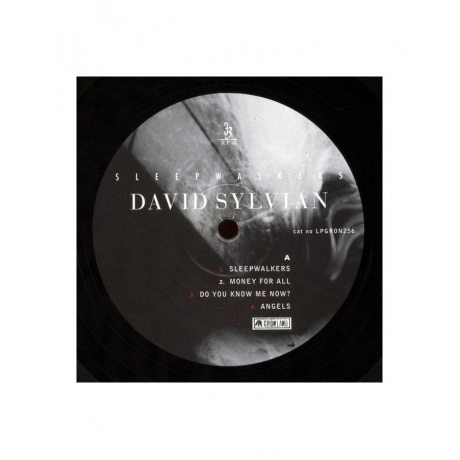 Виниловая пластинка Sylvian, David, Sleepwalkers (5060238638289) - фото 3