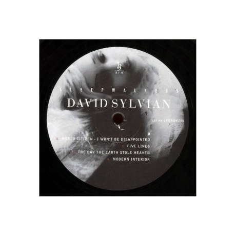 Виниловая пластинка Sylvian, David, Sleepwalkers (5060238638289) - фото 4
