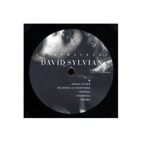 Виниловая пластинка Sylvian, David, Sleepwalkers (5060238638289) - фото 6