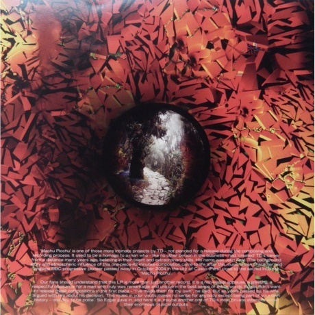 Tangerine Dream - Machu Picchu (0802644818313) виниловая пластинка - фото 7