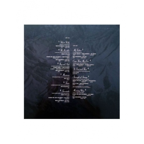 Виниловая пластинка This Mortal Coil, Filigree &amp; Shadow (0652637300512) - фото 4