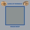 Виниловая пластинка Uriah Heep, Look At Yourself (coloured) (405...